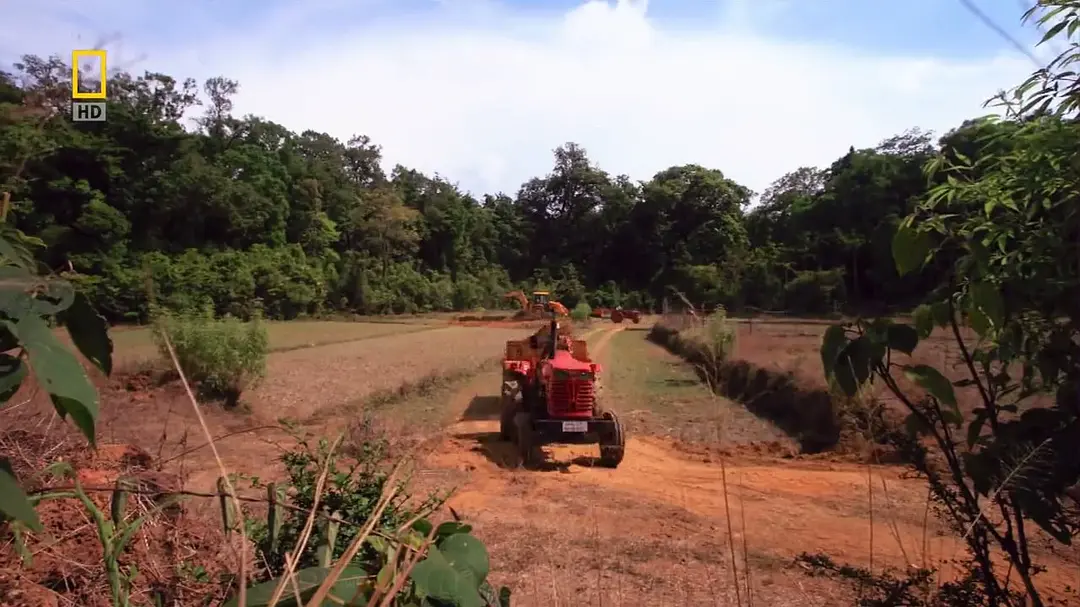 眼镜蛇的秘密剧照1