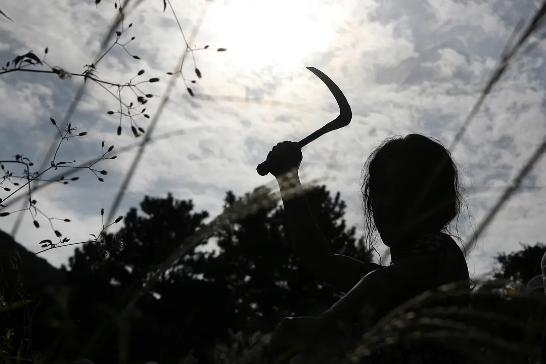 金福南杀人事件始末剧照1