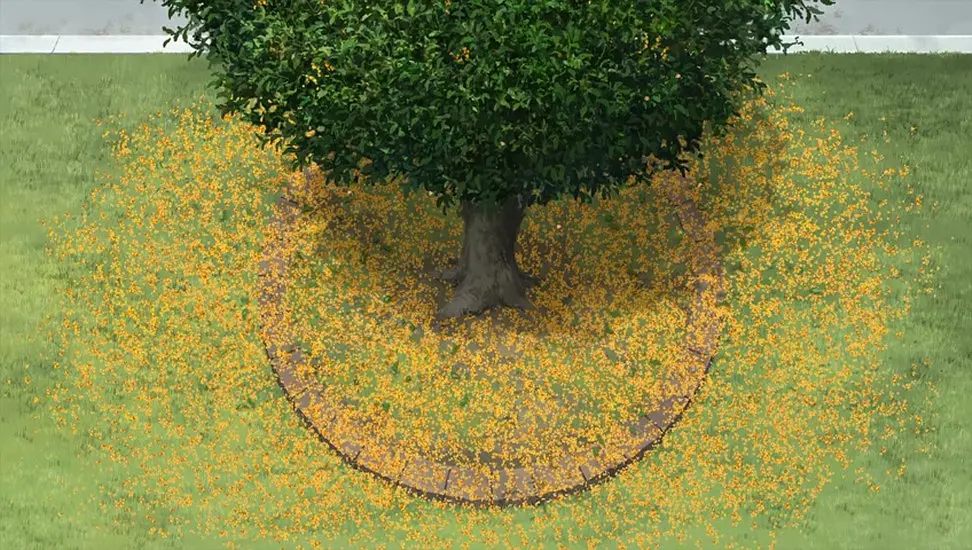 意外的幸运签剧照2