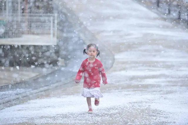 第八日的蝉剧照3