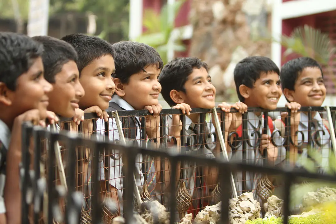 便当盒里的小秘密剧照3