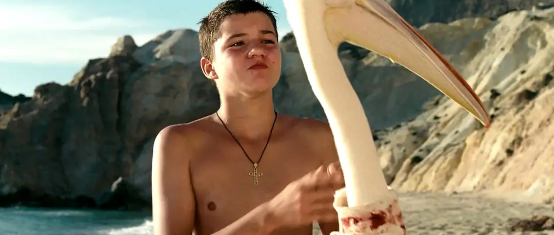 男孩与鹈鹕剧照2