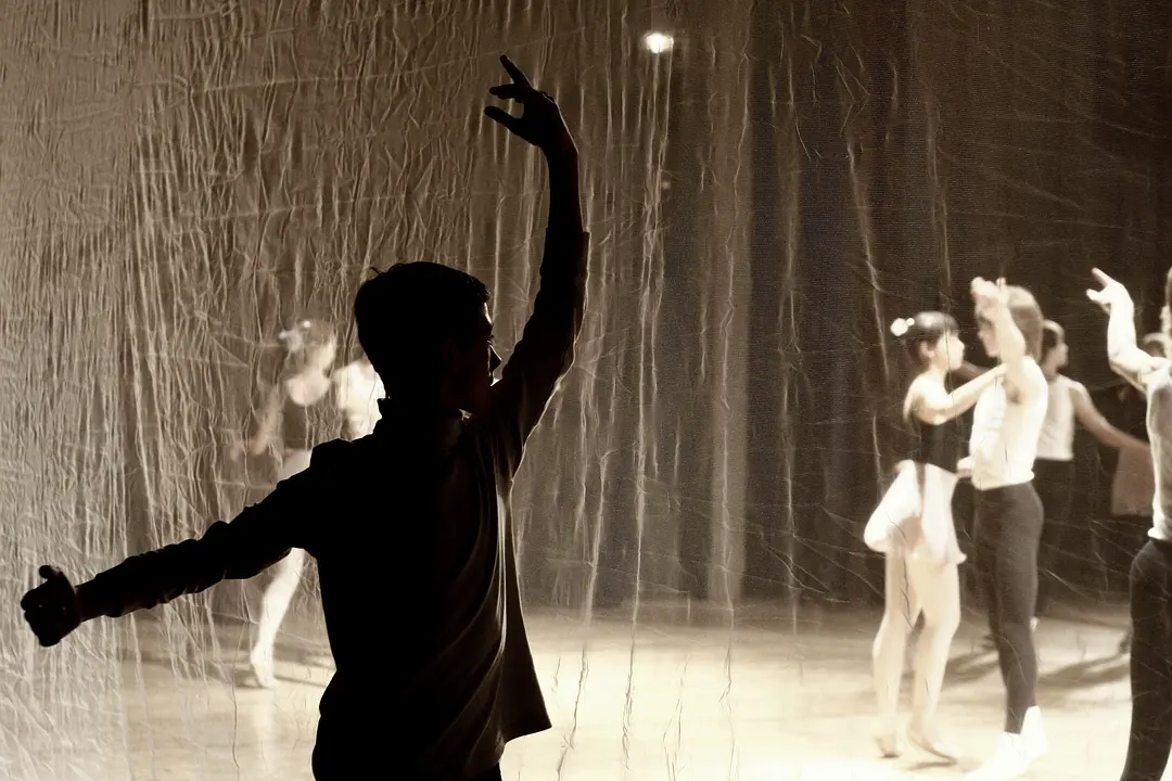 跳芭蕾舞的男孩剧照1