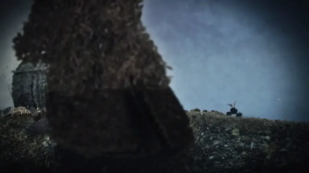 蚂蚁的城堡剧照2