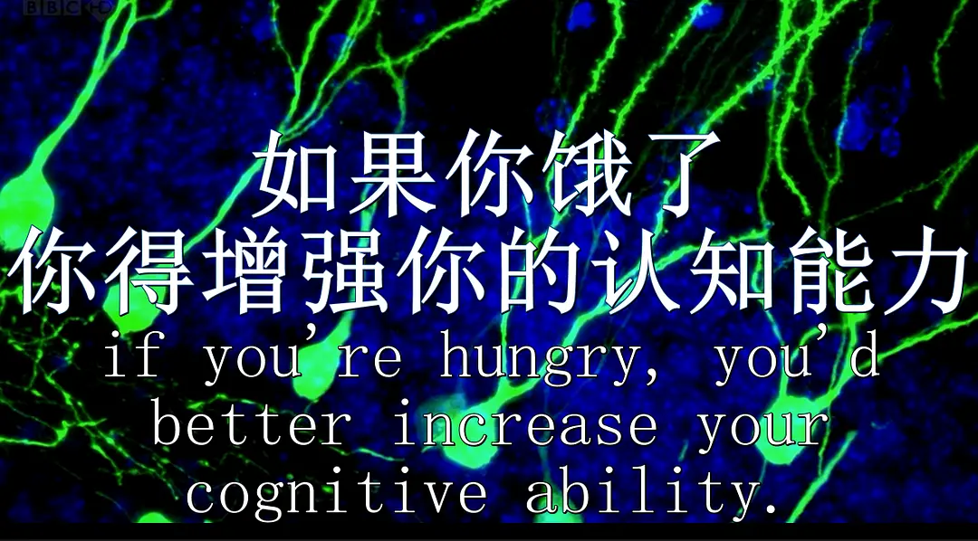 节食与长寿剧照2