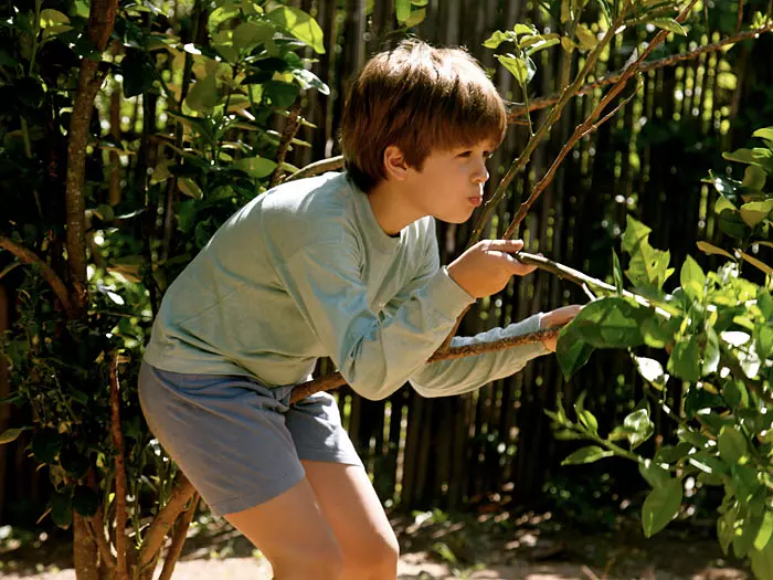 我亲爱的甜橙树剧照3