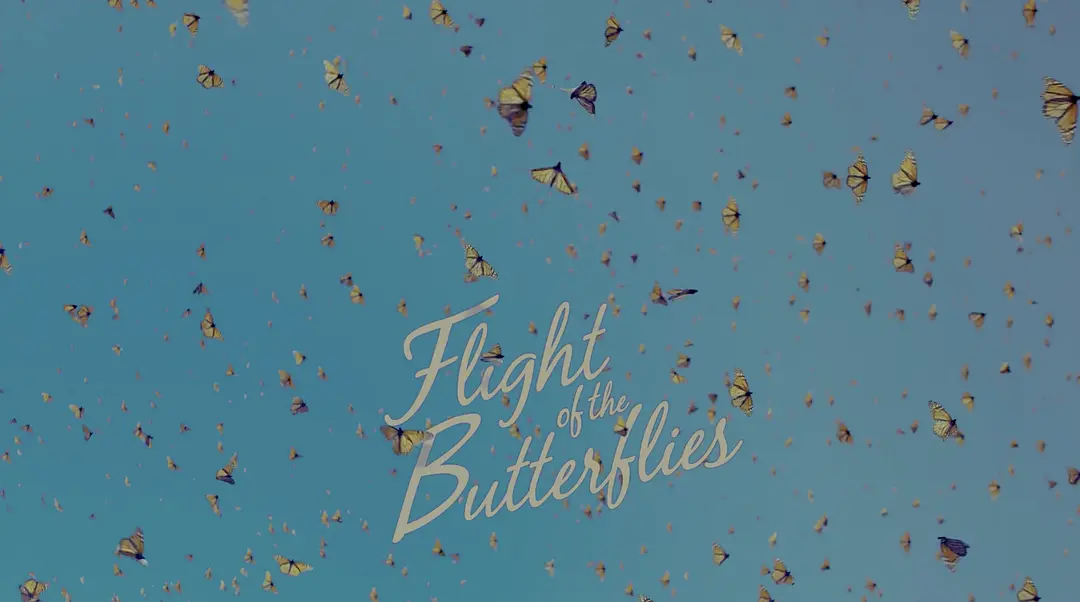 帝王蝶的迁徙剧照3