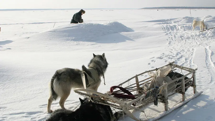 快乐的人们剧照3