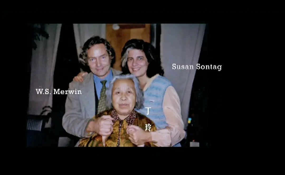 三生三世 聂华苓剧照3