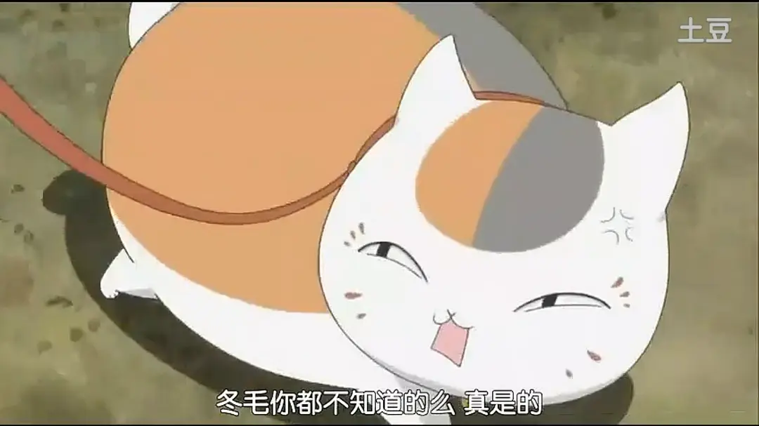 夏目友人帐：猫咪老师首次变身使者剧照2