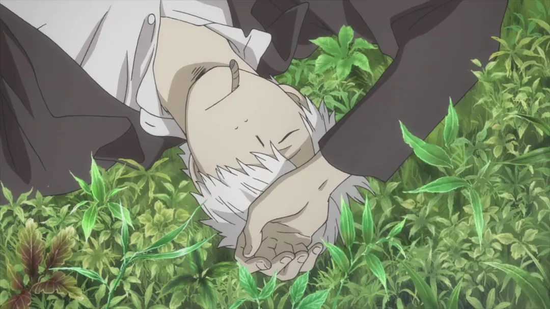 虫师 蚀日之翳剧照2