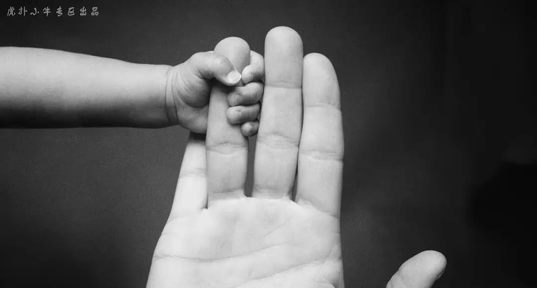 诺维茨基：完美的投篮剧照2