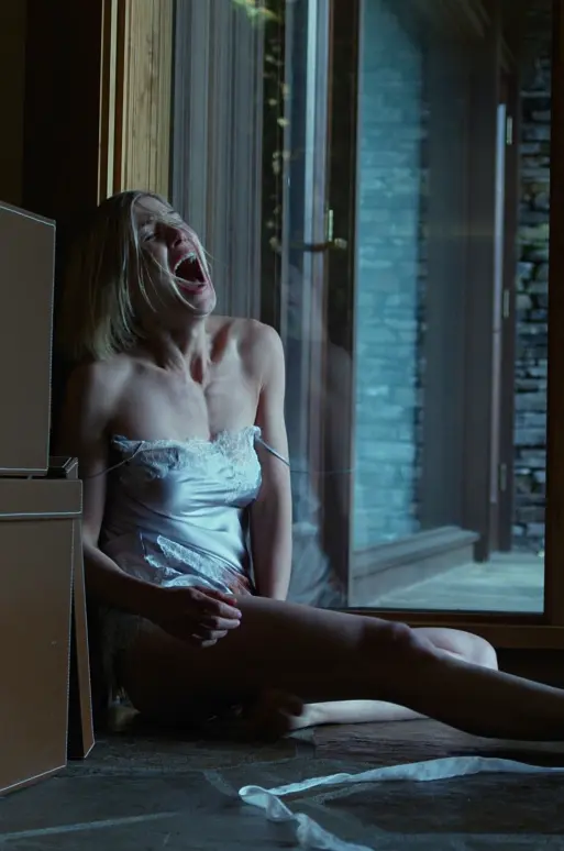 消失的爱人剧照3