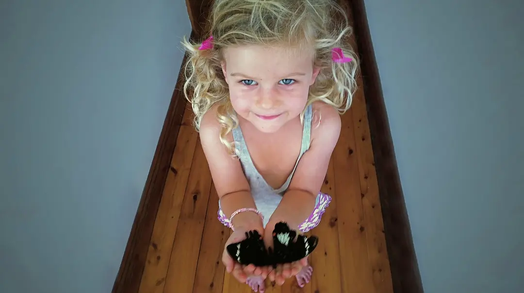 活在当下：安迪·惠特菲尔德的故事剧照1