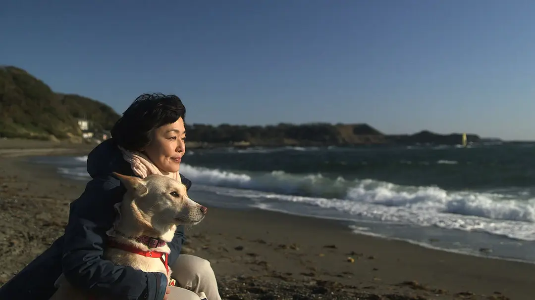 为你取名的那一天剧照1