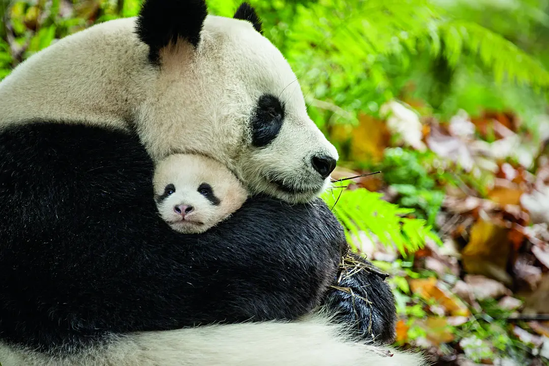 我们诞生在中国剧照1