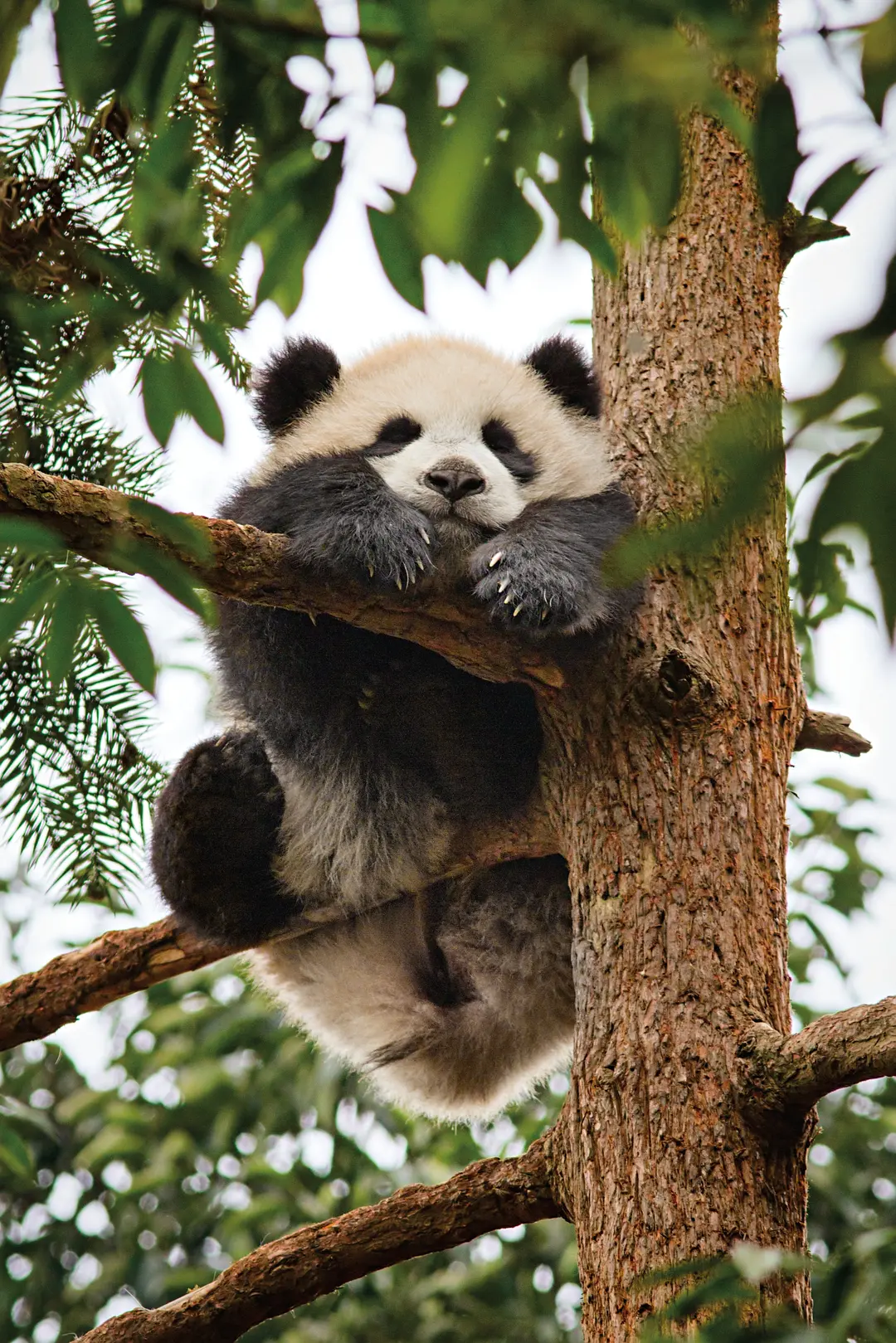 我们诞生在中国剧照2