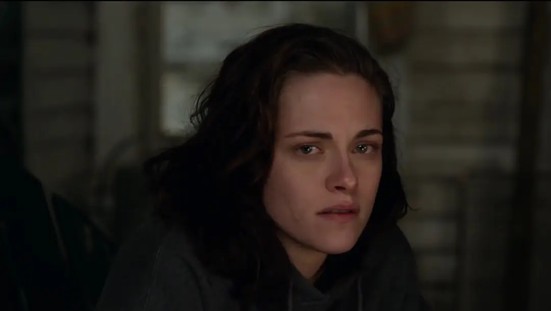 比利·林恩的中场战事剧照3