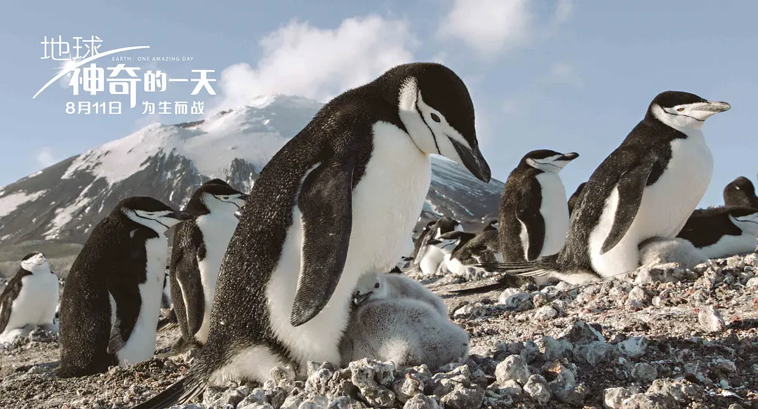 地球：神奇的一天剧照2