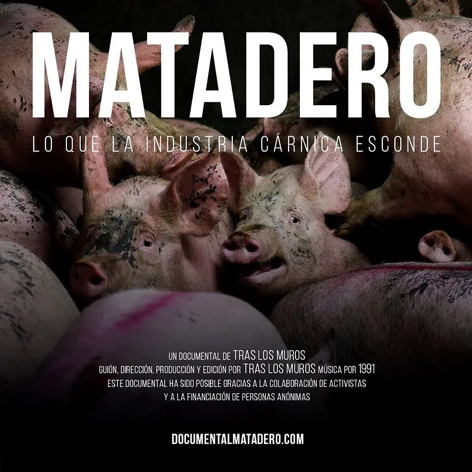 屠宰场：肉类产业的隐秘真相剧照1