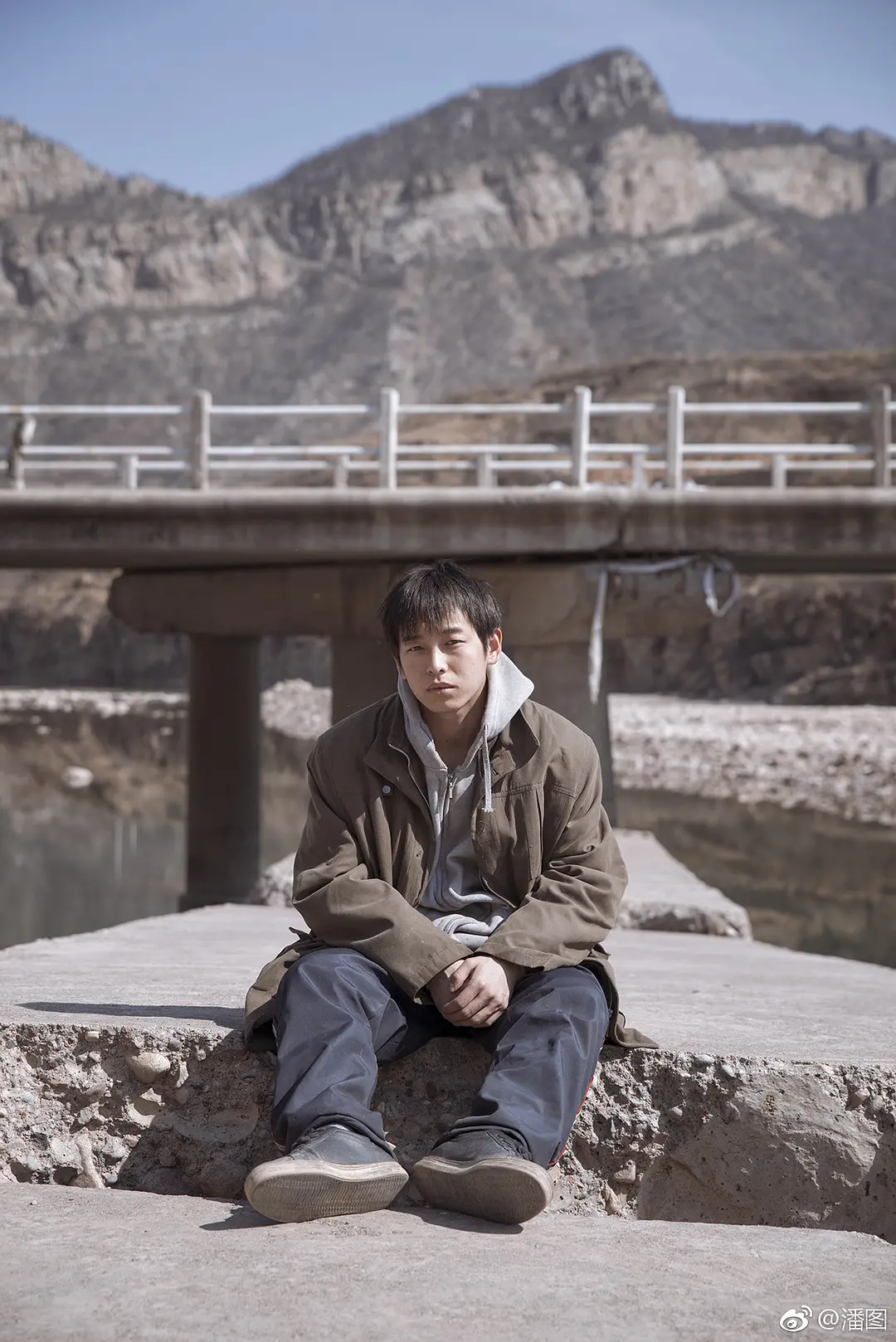 大象席地而坐剧照1