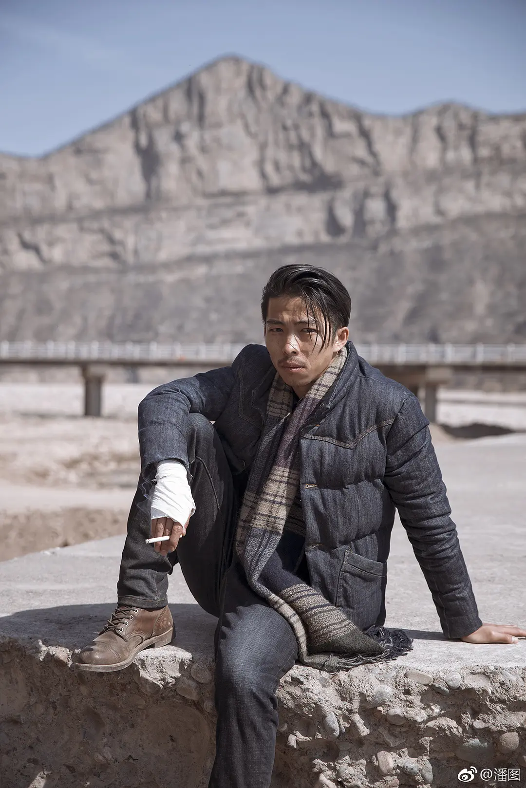 大象席地而坐剧照2