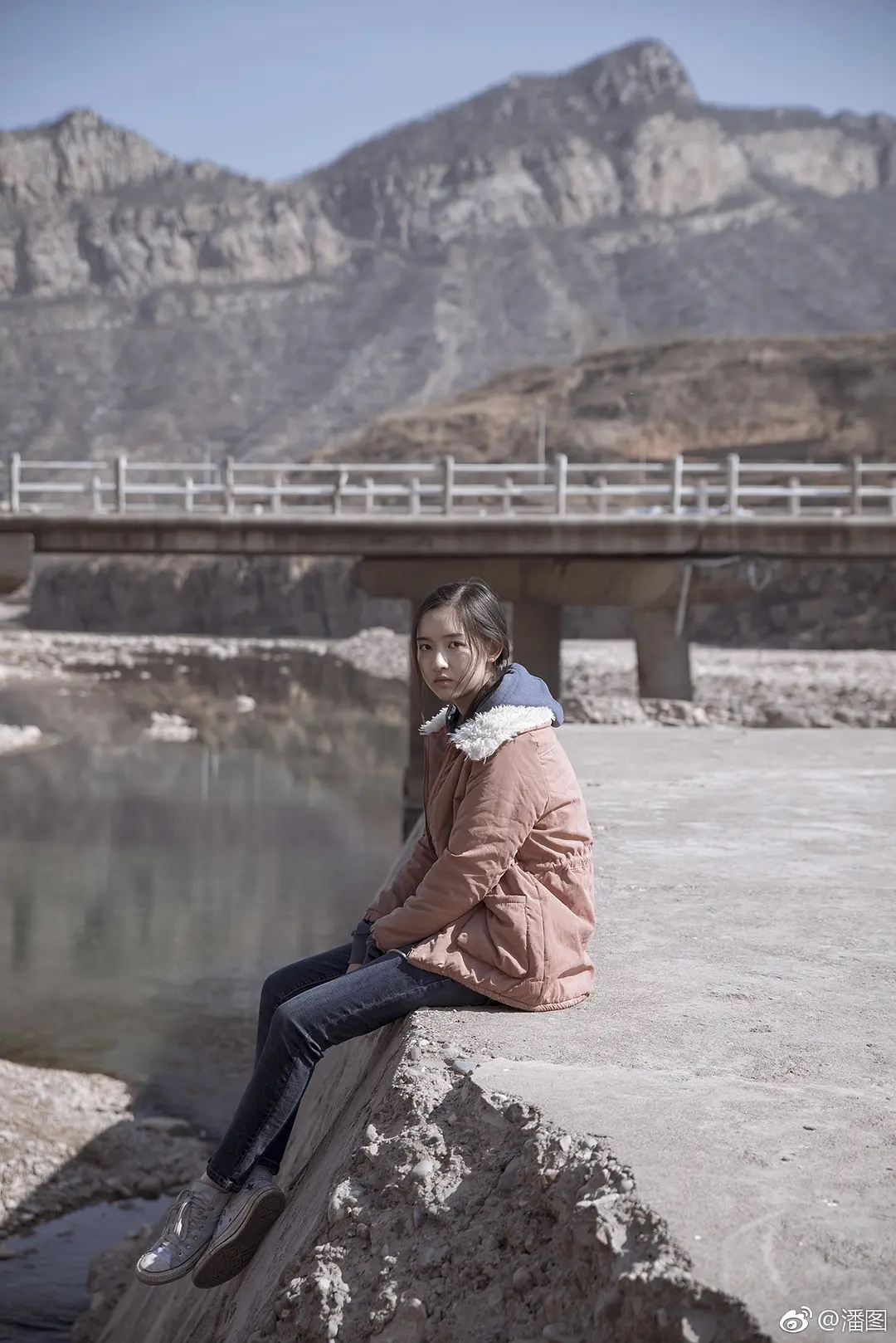 大象席地而坐剧照3