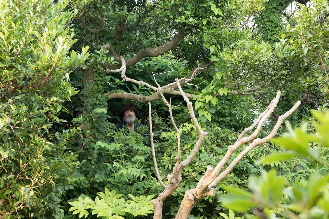 有熊谷守一在的地方剧照2