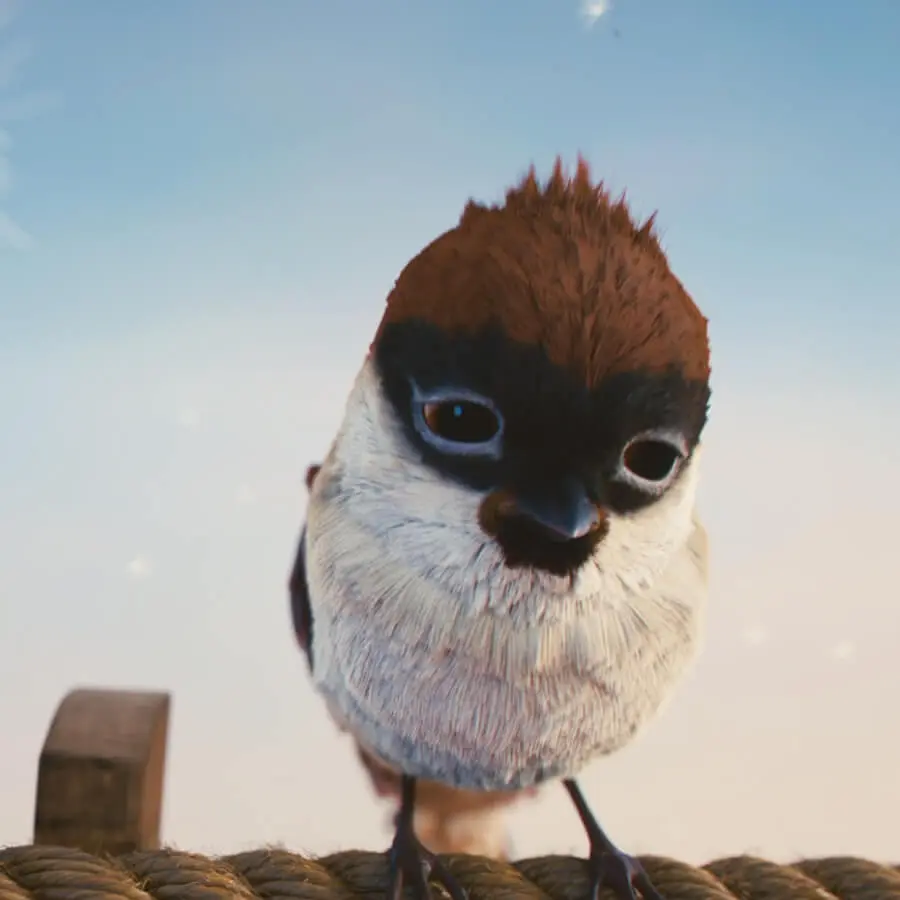 鸣叫-鸣叫剧照3