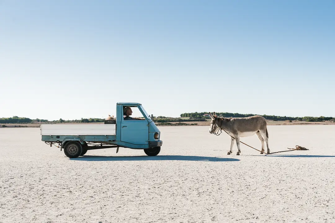 买月亮的人剧照1