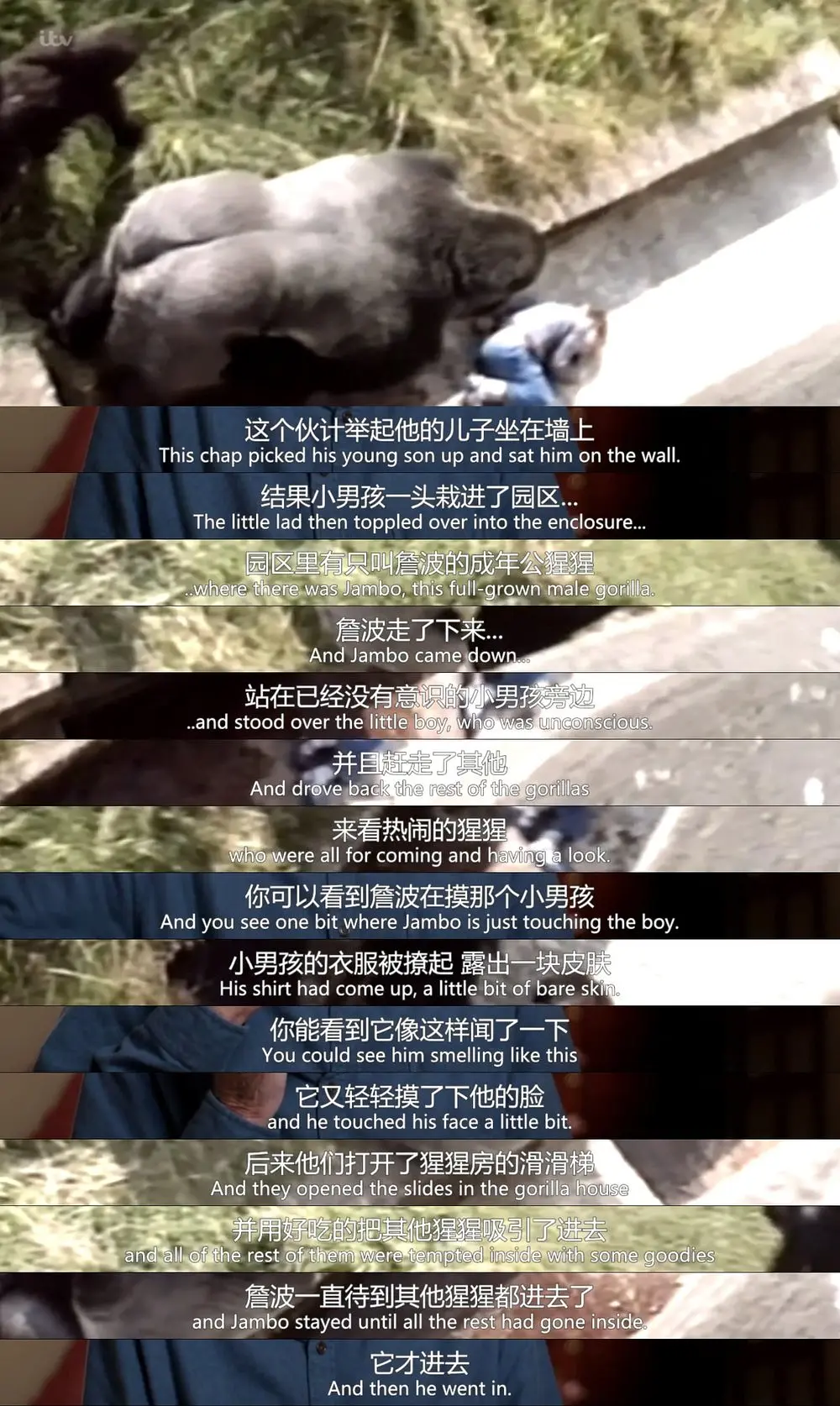 真实的德雷尔一家剧照2