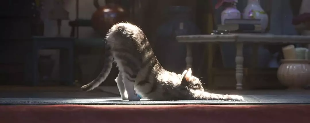 玩具总动员4剧照2