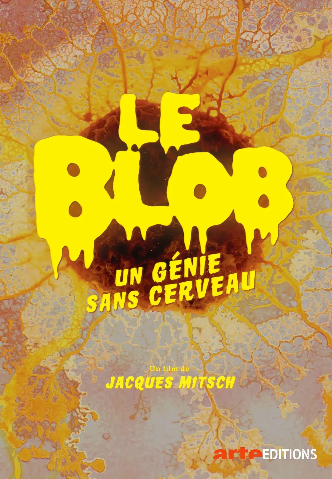 黏菌：无脑天才剧照1