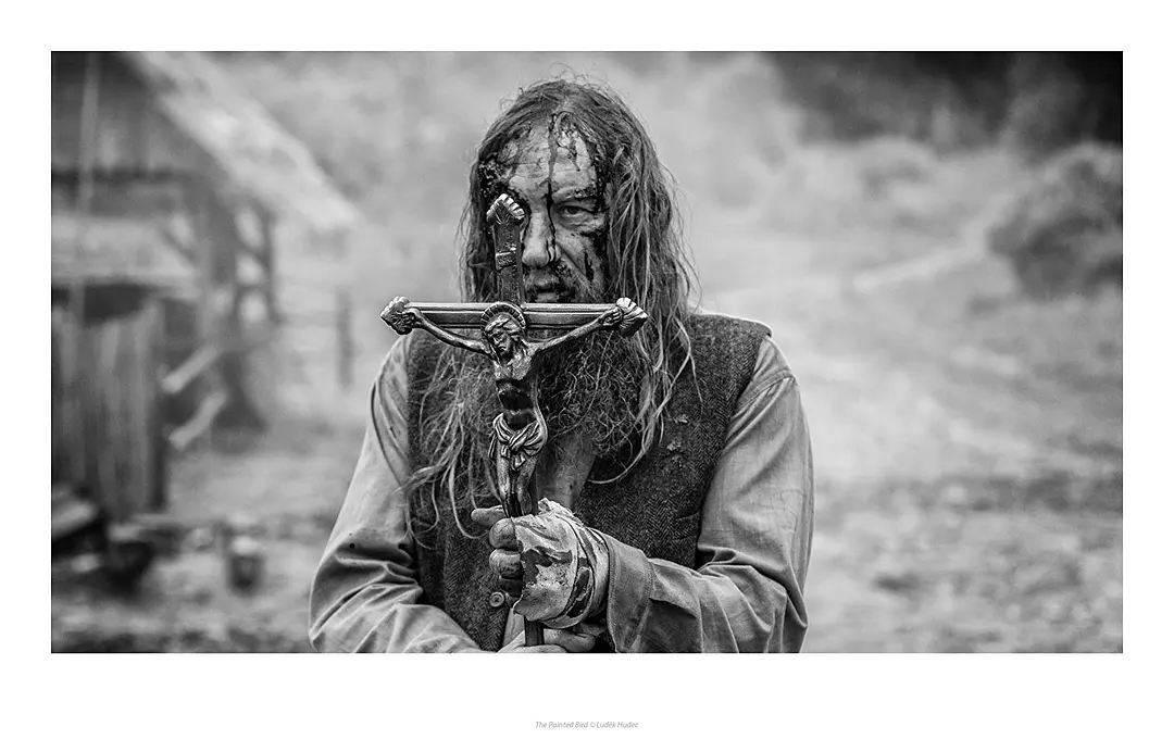 被涂污的鸟剧照1