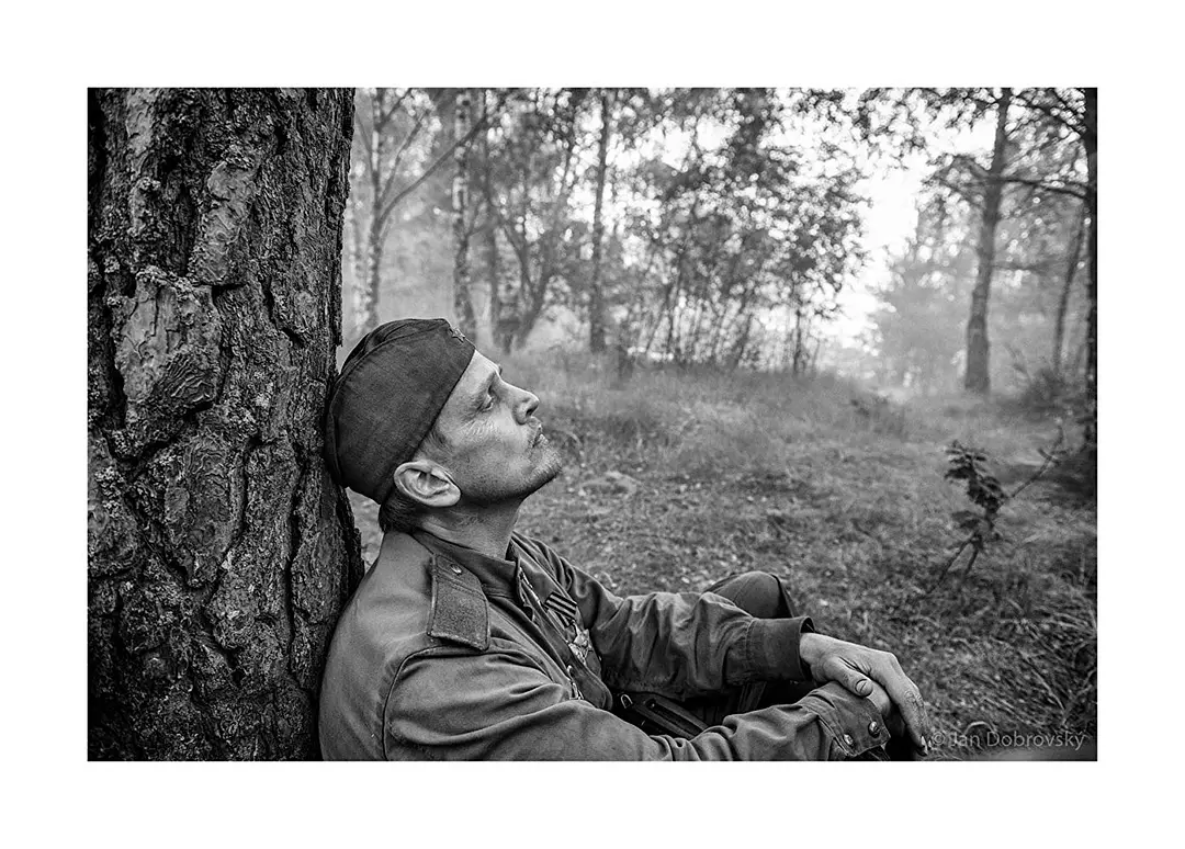 被涂污的鸟剧照3