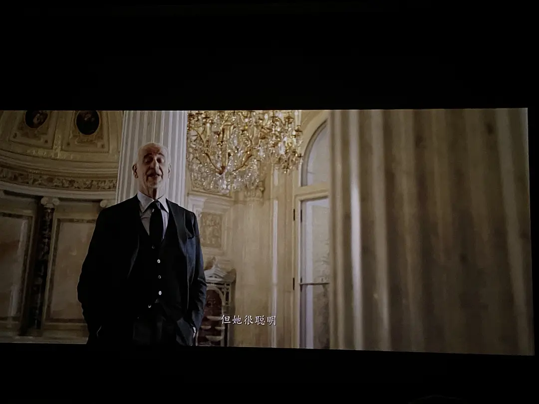 艾尔米塔什博物馆:艺术的力量剧照2