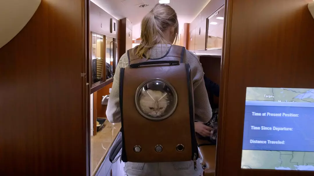 美利坚女士剧照2