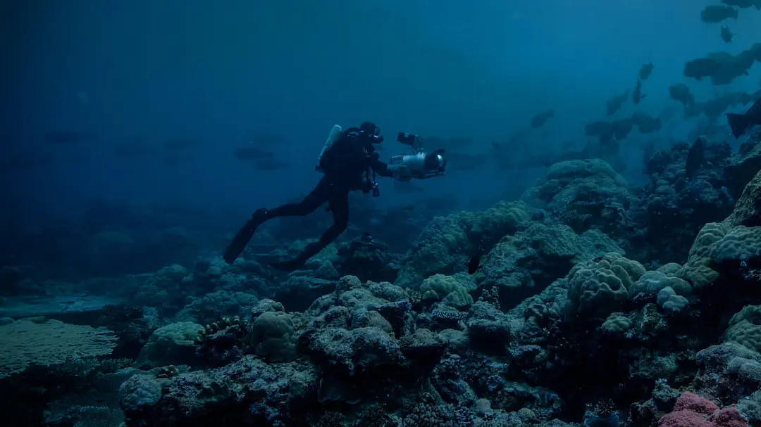 地球的夜晚:夜中取景剧照1