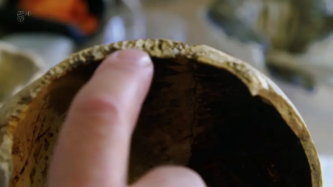 庞贝：尘埃落定剧照1