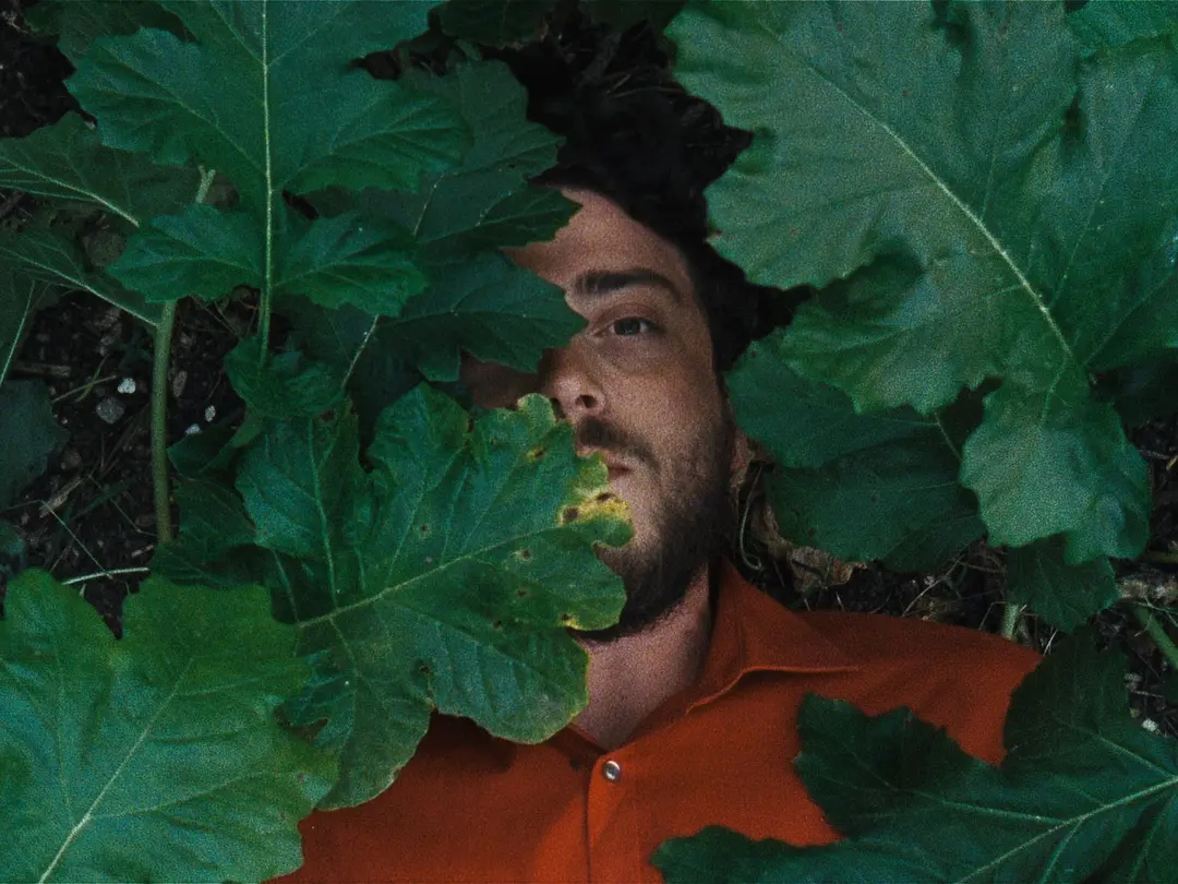 鸟类变形记剧照2