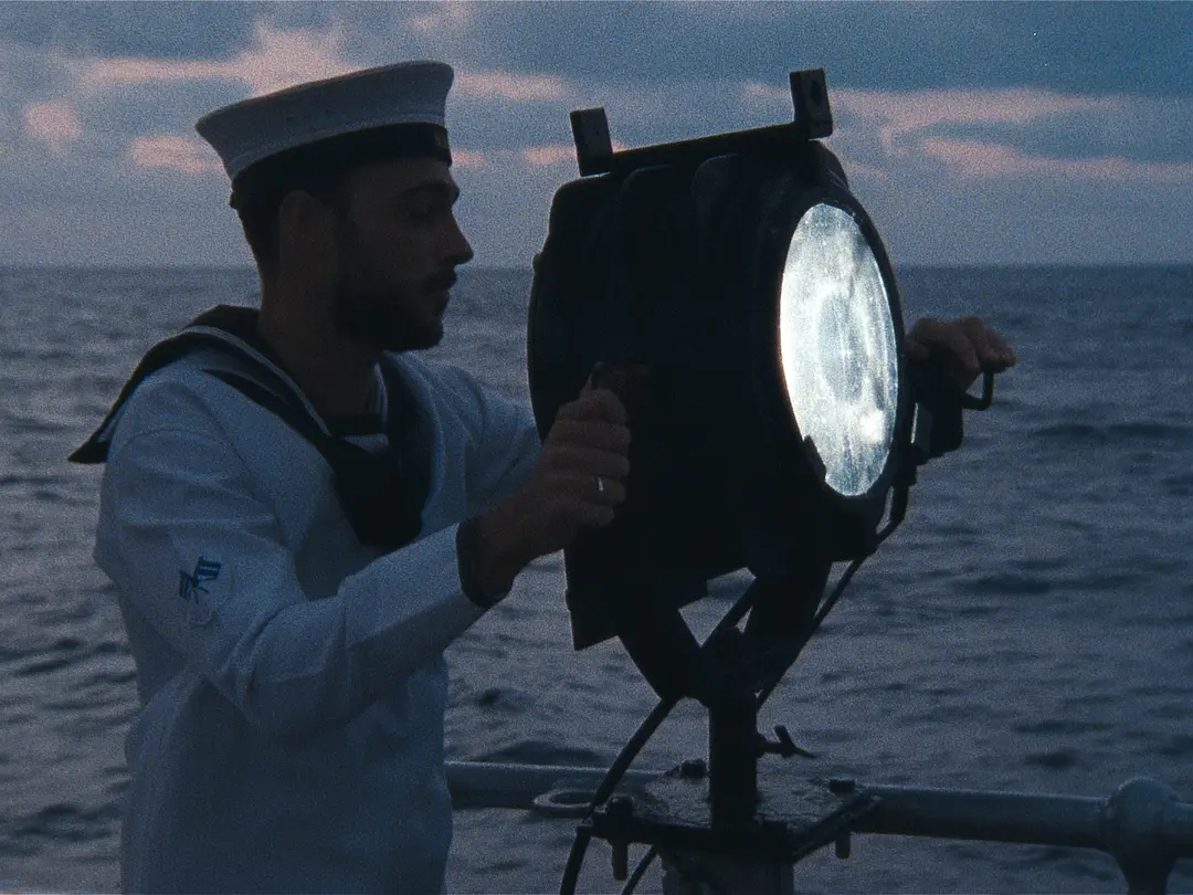 鸟类变形记剧照3