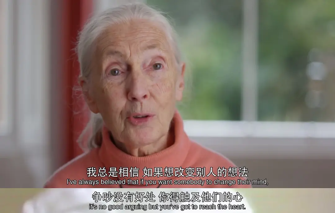 珍·古道尔：点燃希望剧照2