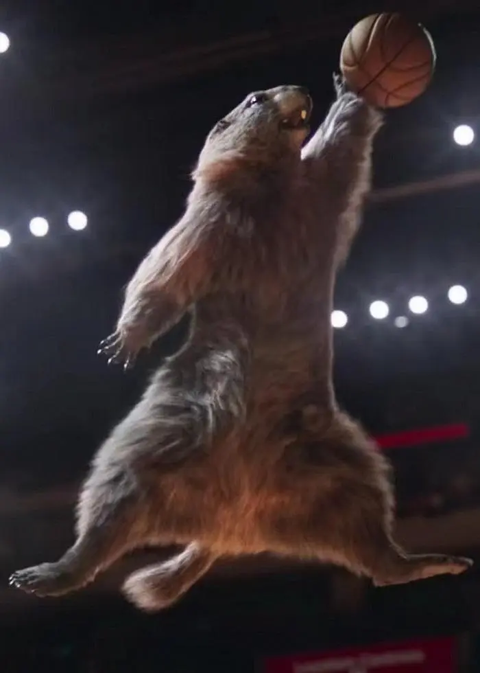 土拨鼠奥运会剧照1