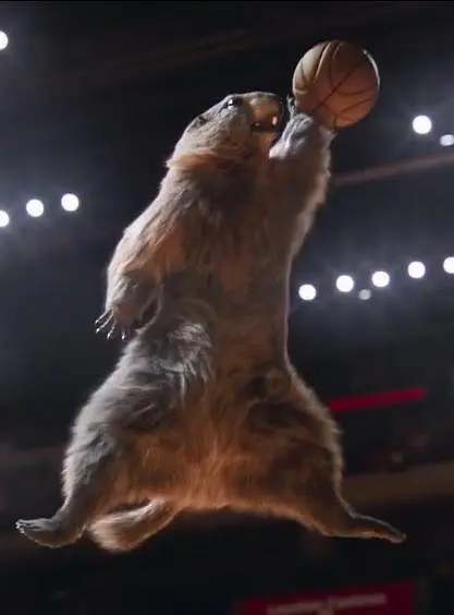 土拨鼠奥运会剧照2