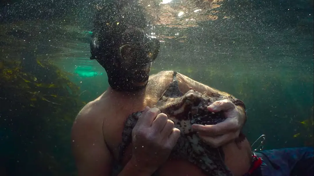 我的章鱼老师剧照1