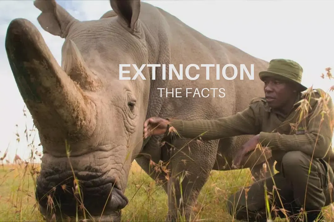 灭绝的真相剧照2