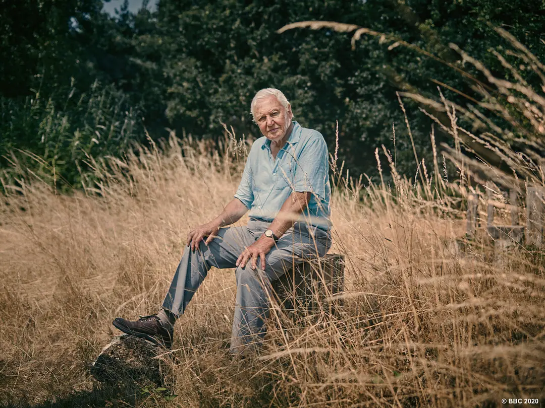 灭绝的真相剧照3