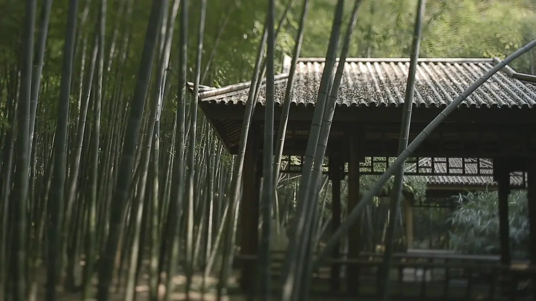 牡丹还魂—白先勇与昆曲复兴剧照2