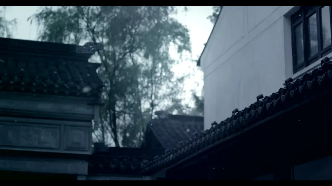 牡丹还魂—白先勇与昆曲复兴剧照3