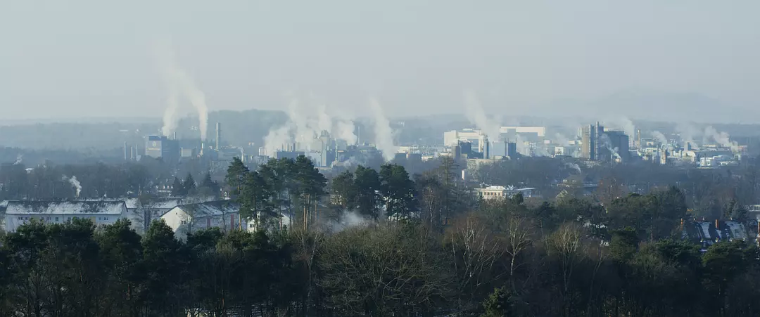 巴赫曼先生和他的学生剧照2